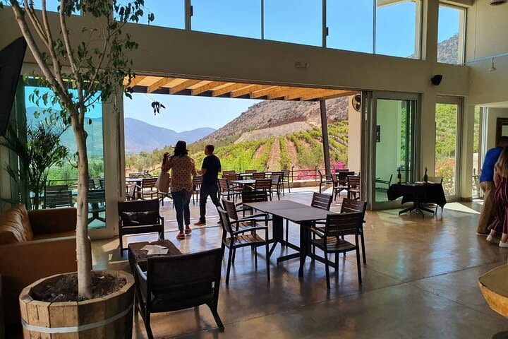 Private tour in Valle de Guadalupe image