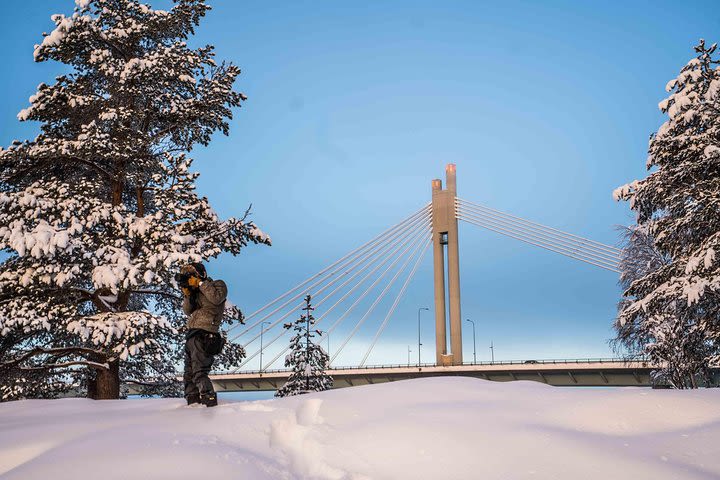 Rovaniemi photography tour image