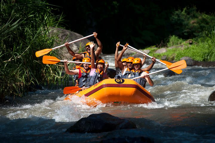 Ayung Rafting and Combination Ubud Tour Packages image