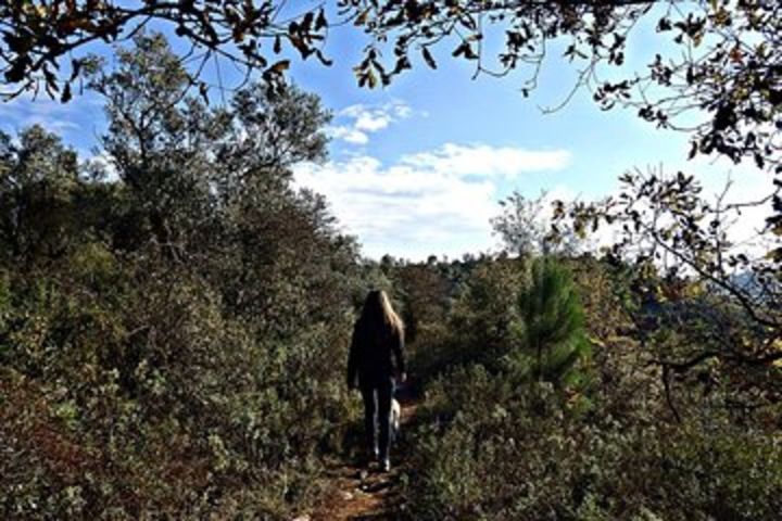 A journey through the forgotten Sierra ... - Serra de Brasfemes, Coimbra image