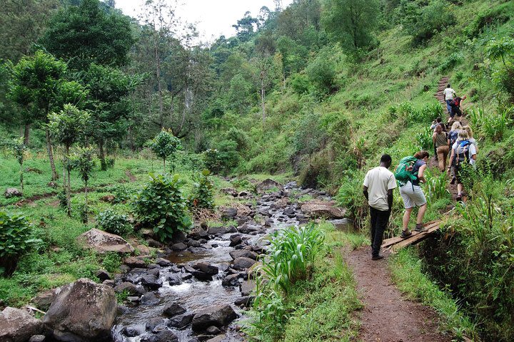 Materuni Waterfalls and Coffee Private Day Tour from Moshi image