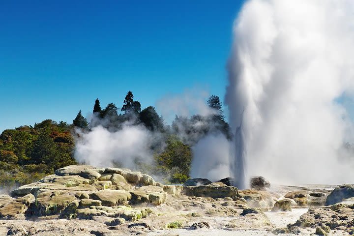 Tauranga Shore Excursion: Rotorua Highlights image