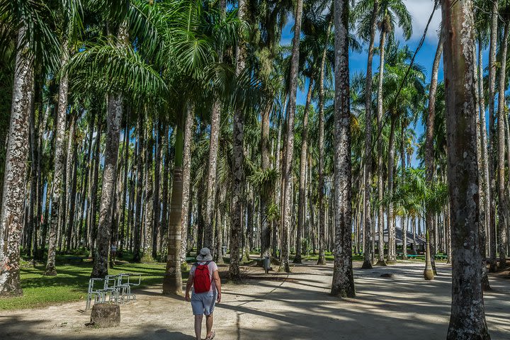 Historical Inner City Tour in Paramaribo, Suriname image