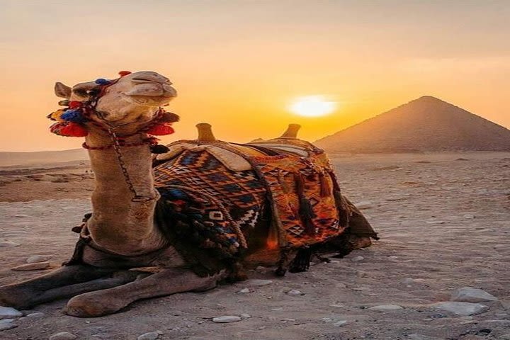 Private Camel Riding Tour of Giza Pyramids at Sunset with Local Bedouin Dinner image