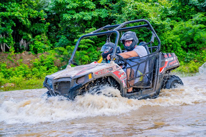 Triple fun! Monkeyland + Damajagua Waterfalls + Buggies from Puerto Plata image