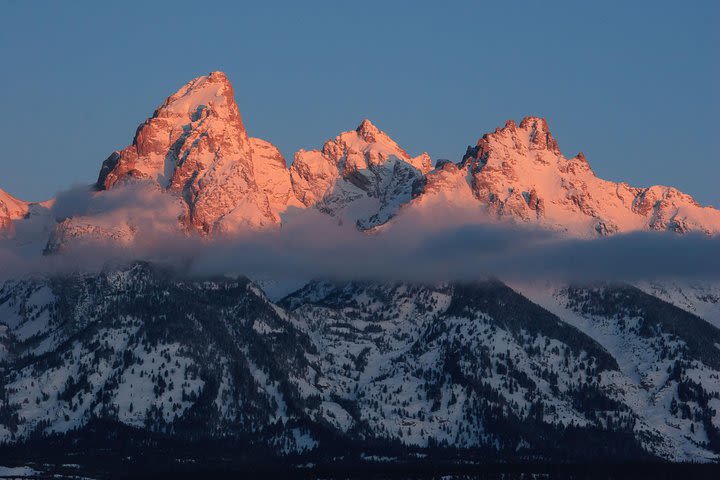 Half-Day Grand Teton Wildlife Private Safari Tour image