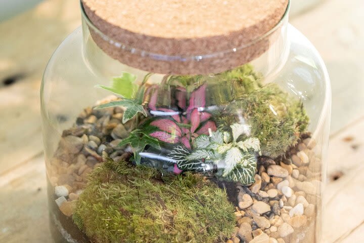 Terrarium Masterclass Experience in London image