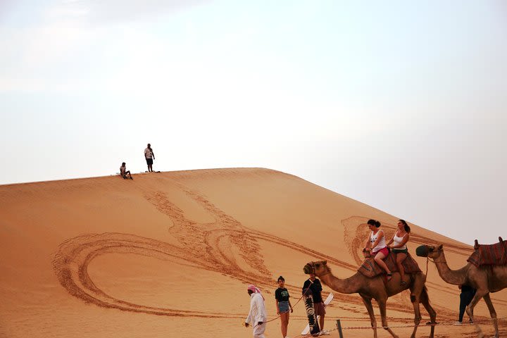 Abu Dhabi Morning Safari (VIP) image