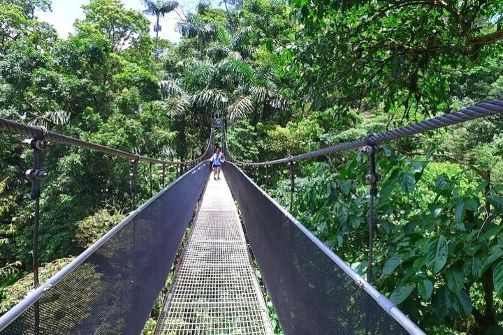 Twilight Walk at the Hanging Bridges image