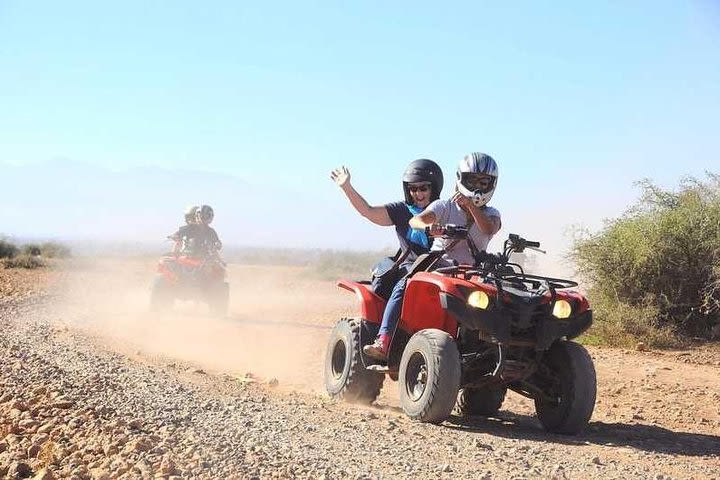 ATV ATV in the palm grove of the Marrakech desert image