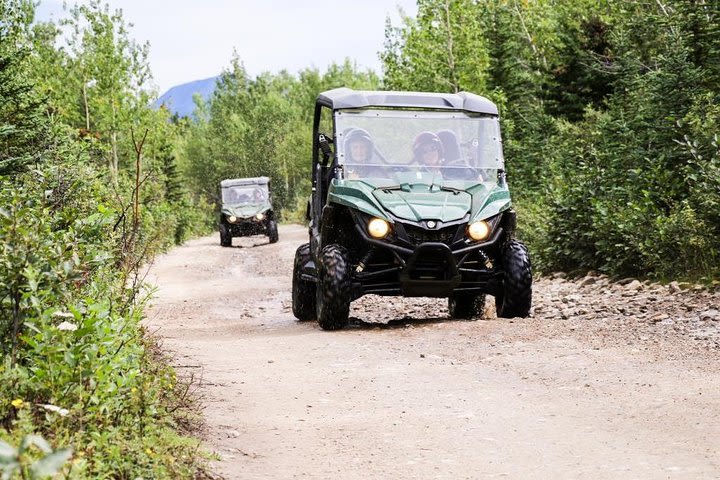 Denali ATV Trailblazer 3.5 Hour Tour  image