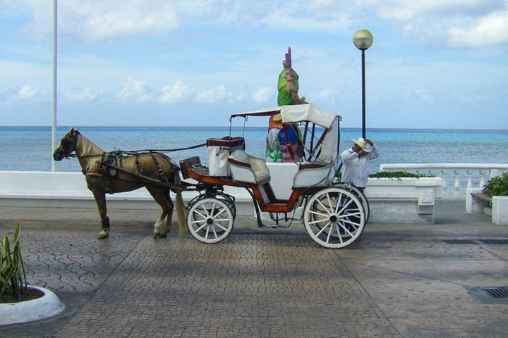 Cozumel Adventure image