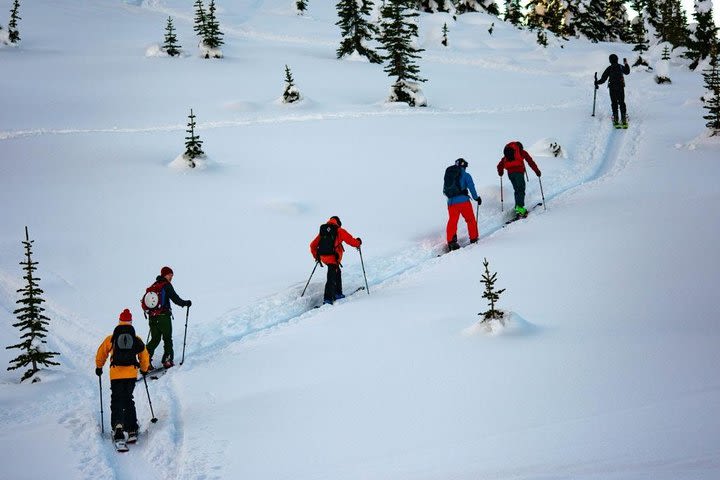 Whistler Backcountry Skiing and Splitboarding image