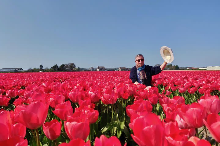 Guided Private Tour to Keukenhof from Amsterdam, The Hague - 7 Hours image