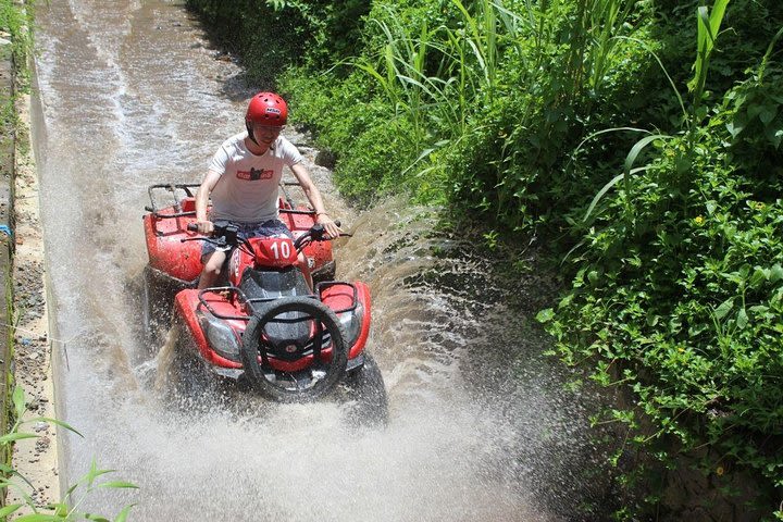 Bali Quad Bike with Ubud Tour image