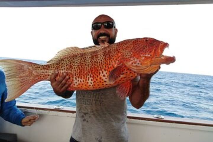 Private 9 hours fishing trip by a charter boat | Lunch included image