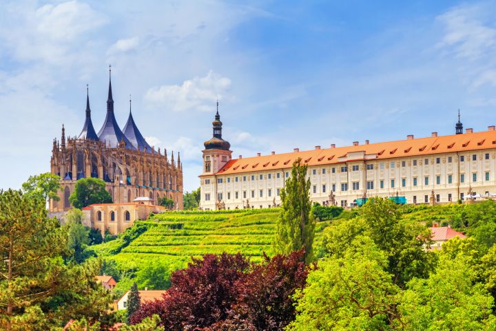 Private Day Trip to the Medieval Town of Kutna Hora image