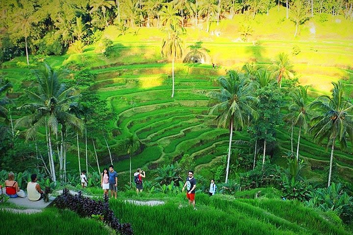 Amazing Ubud Tour Package III - Incl. entrance tickets image
