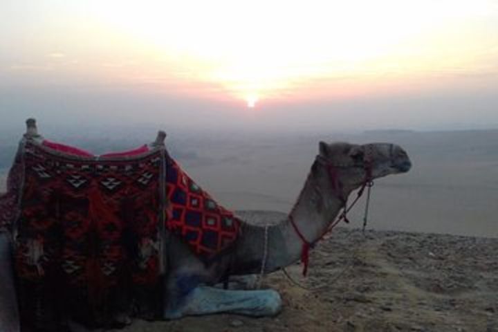  Giza Pyramids sunrise & Sphinx with Camle Riding  image