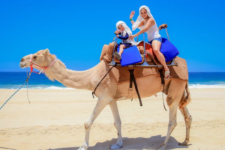 Outback and Camel Ride Safari image