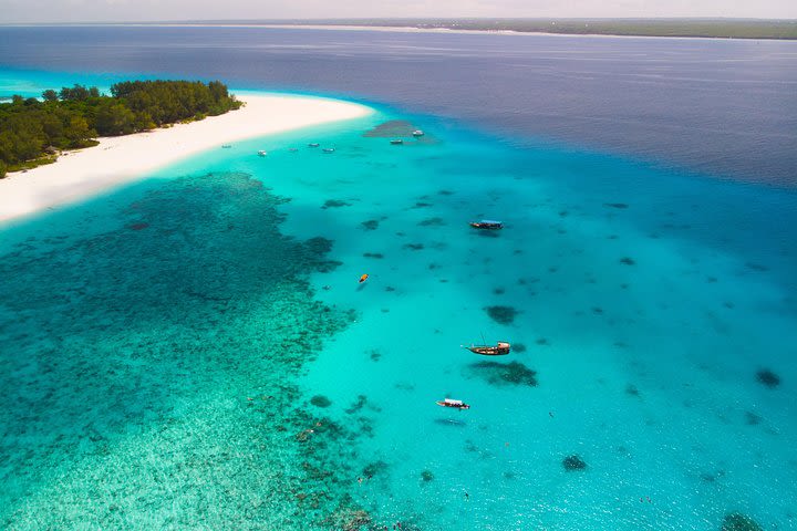 Snorkelling at Mnemba Atoll image