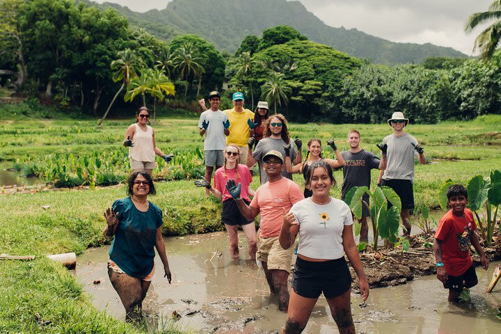 Kualoa Ranch: Malama Experience Tour image