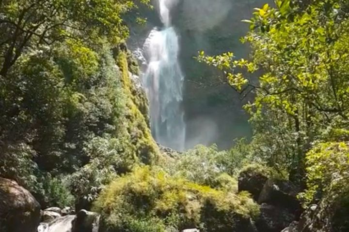 Mauritius: 500 Feet Waterfall Private Guided Hike image