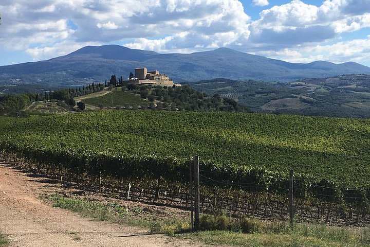 Brunello E-Bike Tour image