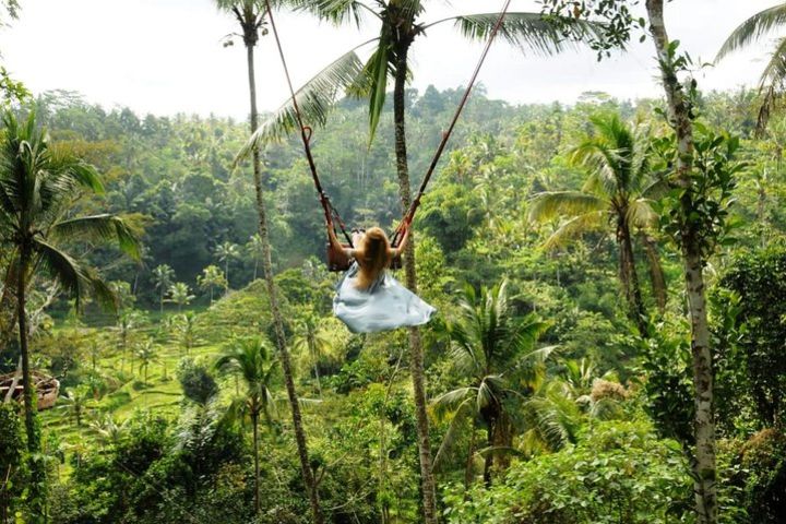  Highlight Of Bali : Gate Of Heaven, Waterfall And Swing image