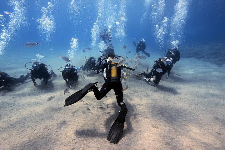 Discover Scuba Diving image