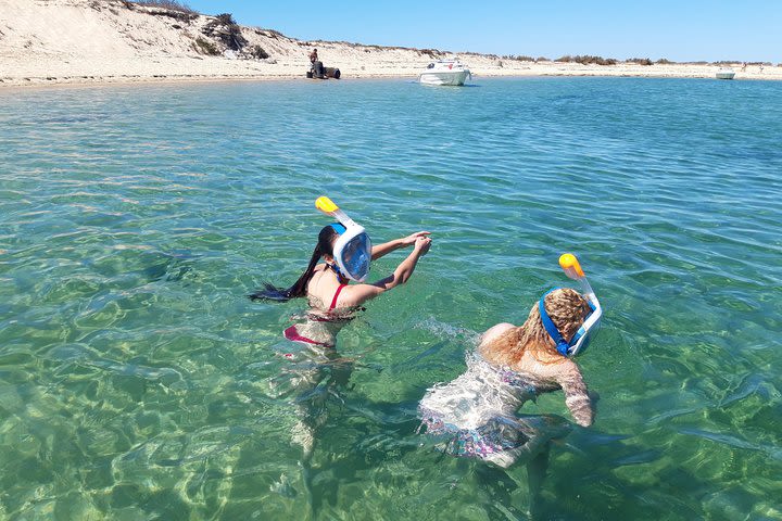 Faro - Ria Formosa tour with visit to 2 islands (Deserta, Farol) 3.5 hours image