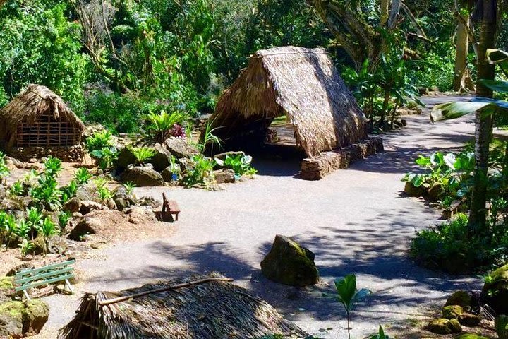 Majestic Circle Island Eco Tour from Waikiki image