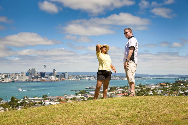 Private Auckland Half Day Tour image