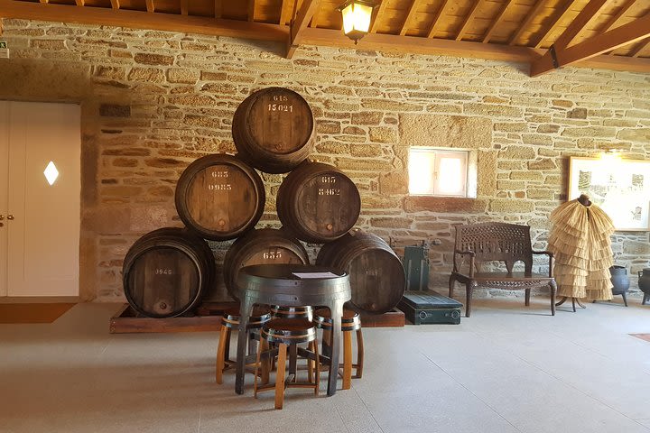 Douro Valley for Wine Lovers with Visit to 3 Vineyards and Lunch at a Winery image