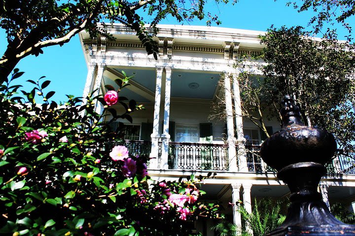 Garden District Walking Tour of New Orleans image