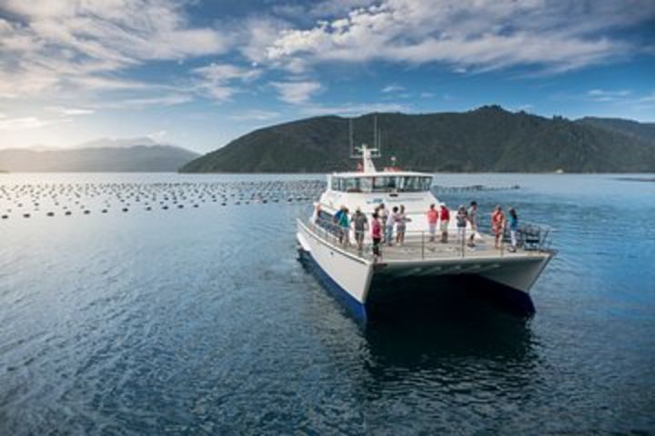 Seafood Odyssea Marlborough Sounds Cruise from Picton image