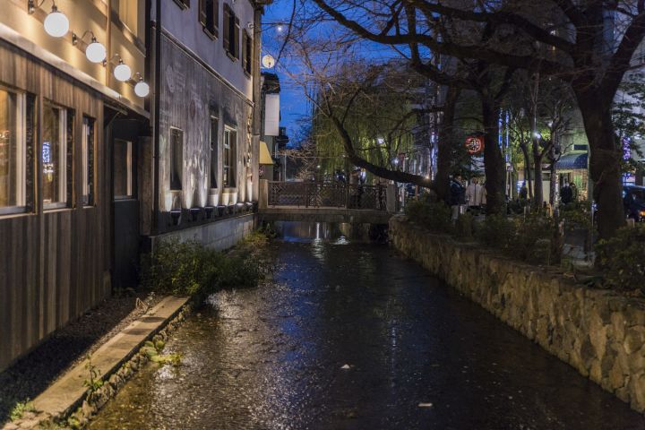 Kyoto Casual Evening Pontocho Food Tour image