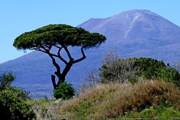 POMPEI TOUR Half Day - departure from NAPLES center (entrance ticket INCLUDED) image