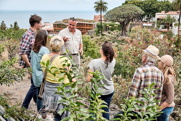 VIP Island Tour from South Tenerife image