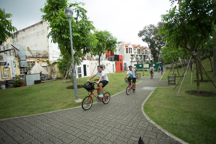 Half-Day Bike Tour of Singapore image