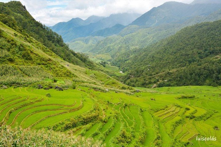 Sapa Tourr: 3 Days/2Nights - Medium Trek and Bus Trip From Hanoi image