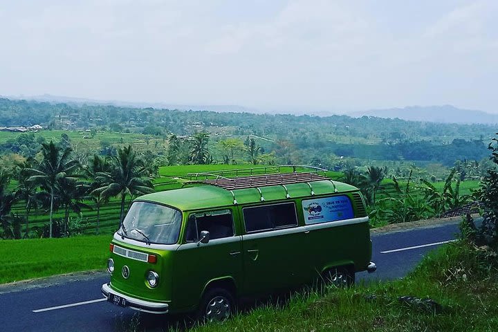 Bali VW Bus. Ubud VW Tour image