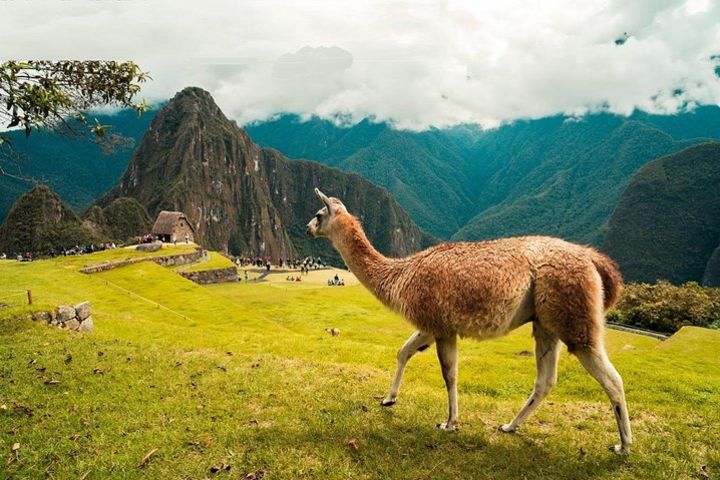 5 Days - Cusco || Sacred Valley || MachuPicchu || Rainbow Mountain || image