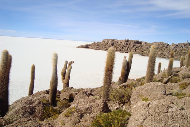 Private Day Trip Salar de Uyuni image