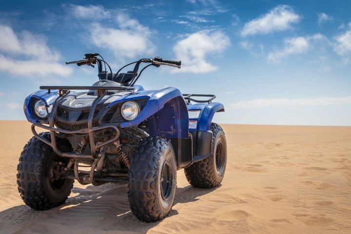 Camel Ride & ATV + Oceanfront Lunch|Cabo Adventure Combo image