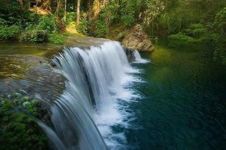 Discover Blue Lagoon, Cascades & Swim with Turtles in Vanuatu from Port Vila image