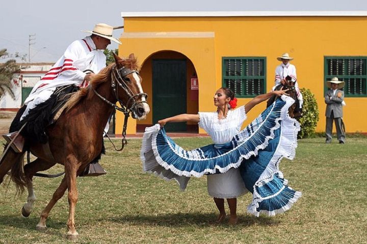 Peruvian Paso Horse & Marinera Show with Lunch image