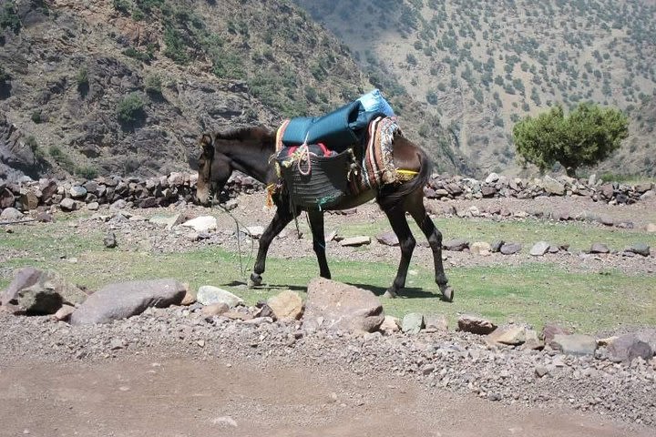 3 Day Trek from Marrakech To Climb Mount Toubkal in Morocco image