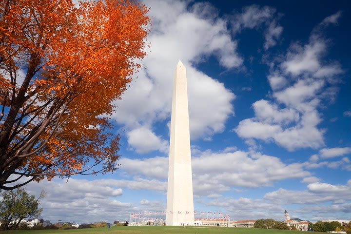 Washington Monument Reserved Admission with DC Landmarks and Memorials Tour image