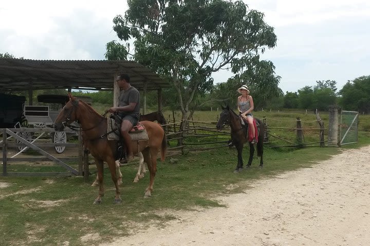 Horseback Ride and Mayfield Falls combo from Negril image